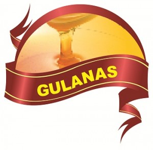 Logo Gulanas Baru Merah Only